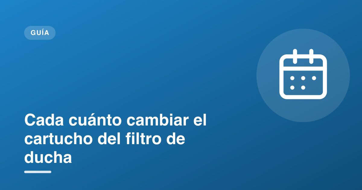 Cada cuánto cambiar el cartucho del filtro de ducha